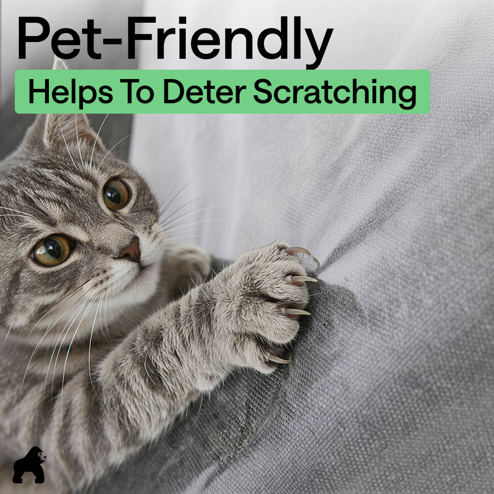 Cat Scratch Guard - Image 4