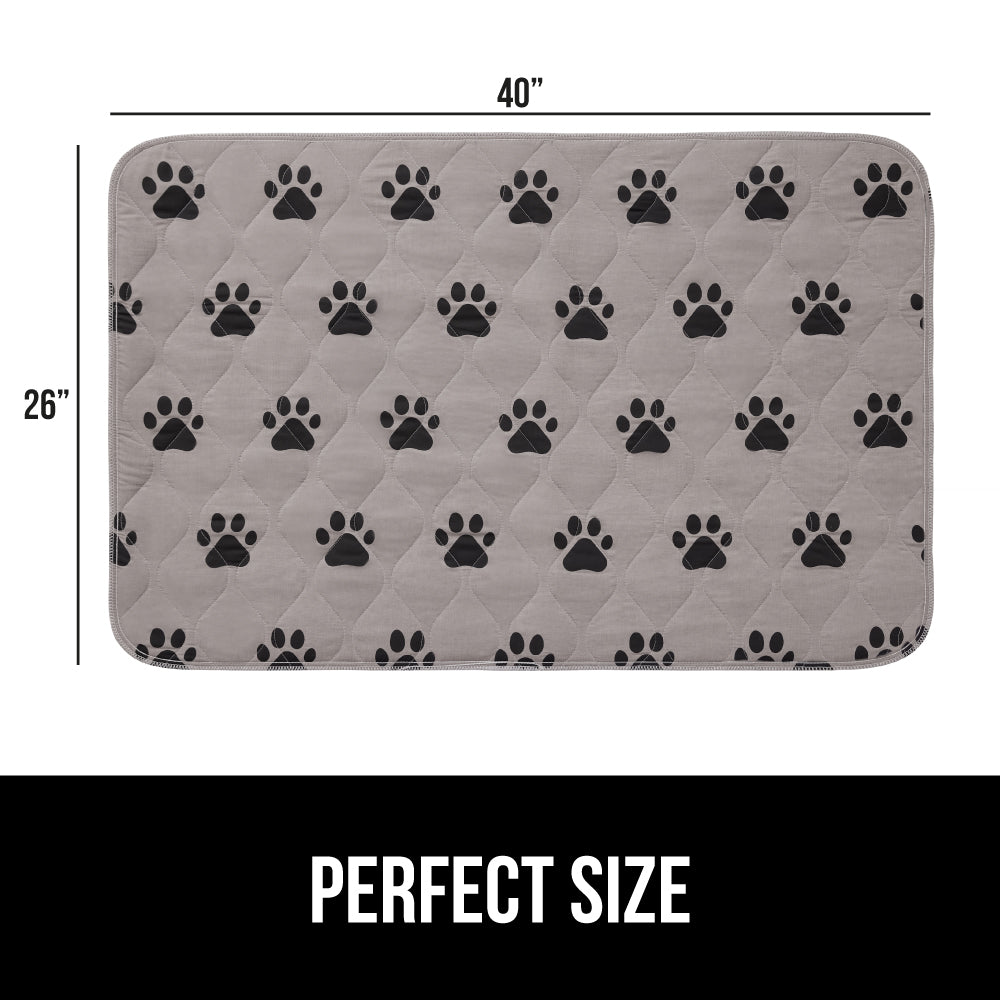 Incontinence Paw - Image 6