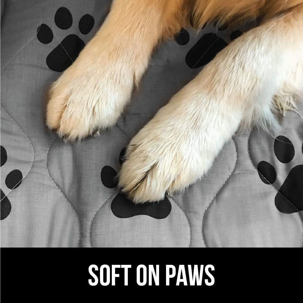 Incontinence Paw - Image 8
