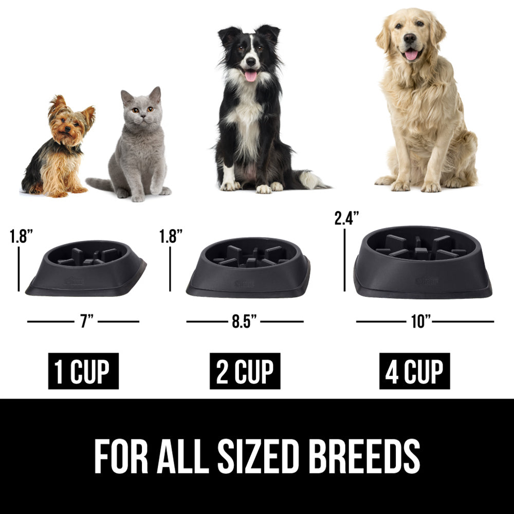 Slow Feeder Bowl - Image 9
