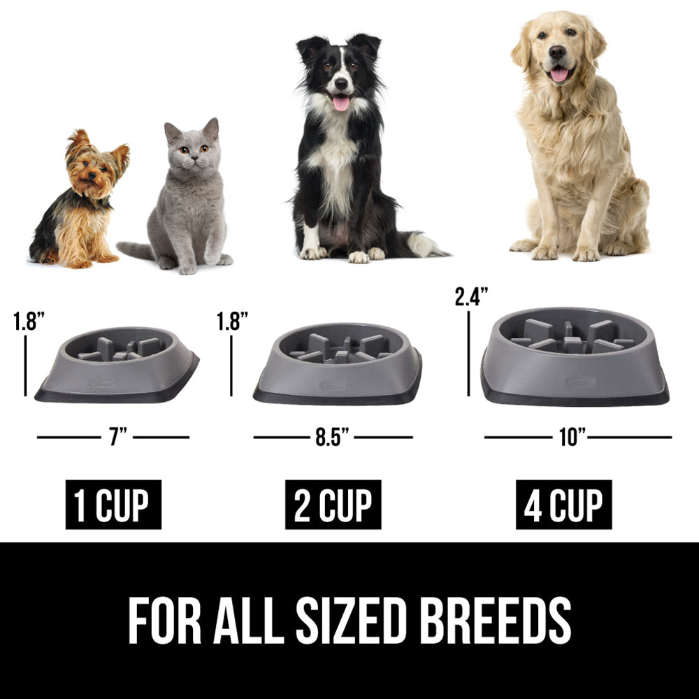Slow Feeder Bowl - Image 17