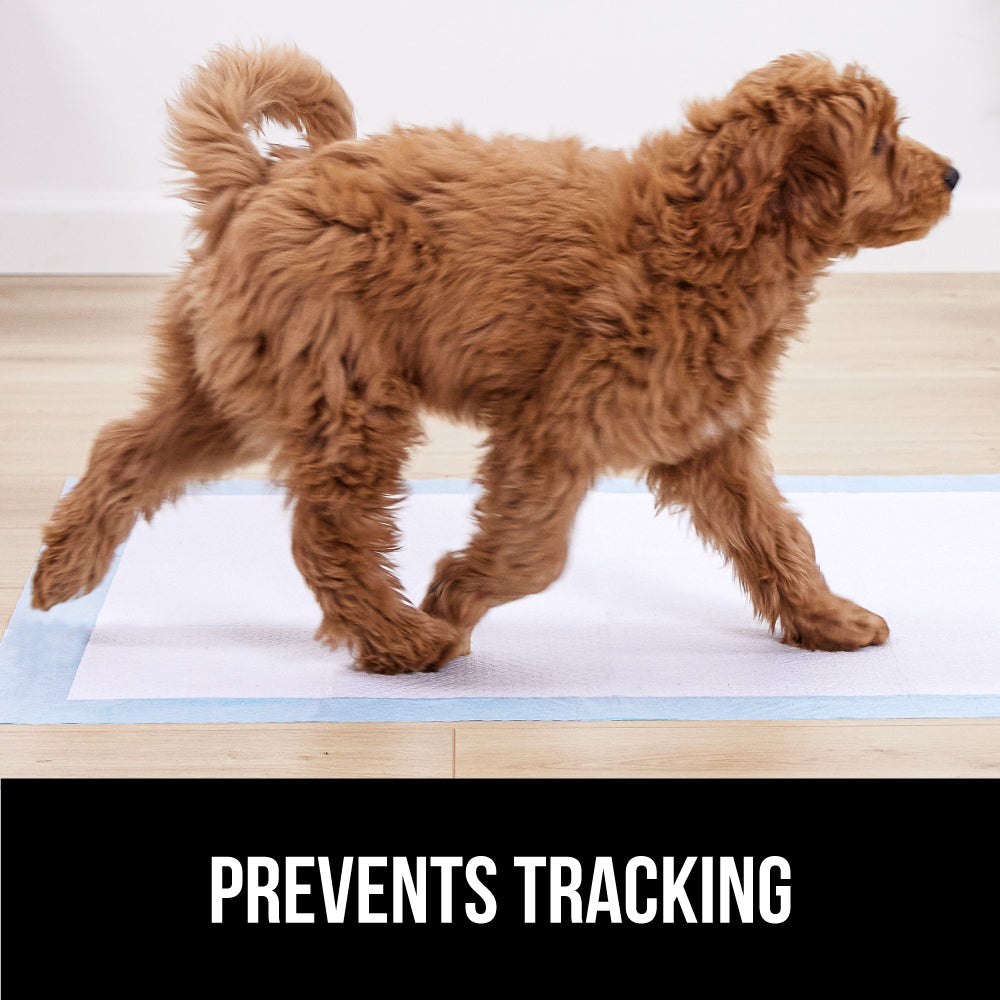 Gorilla Guard Absorbent and Leak Proof Disposable Puppy Pads - Image 12