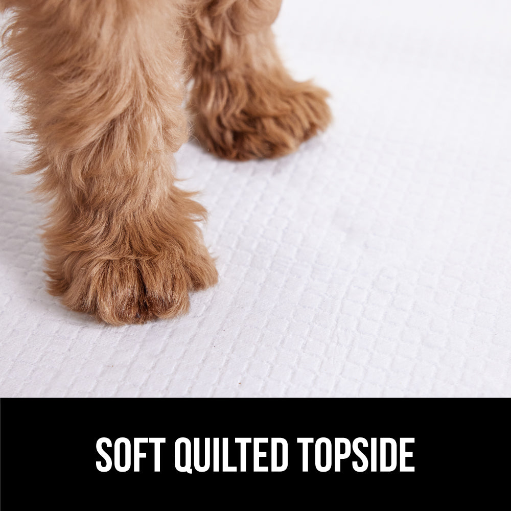 Gorilla Guard Absorbent and Leak Proof Disposable Puppy Pads - Image 15